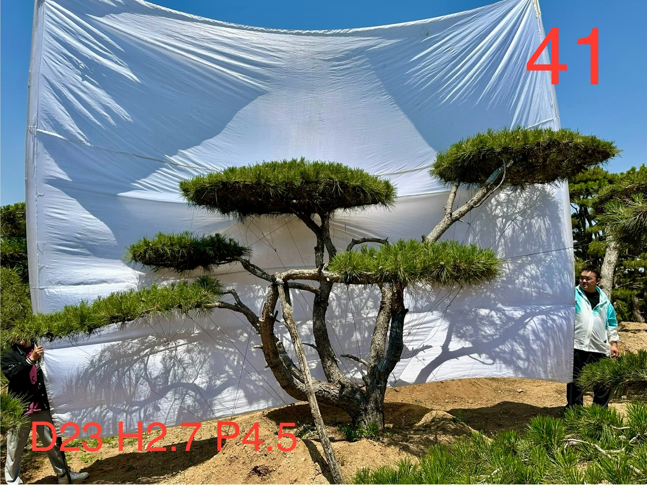 斌八千41.jpg
