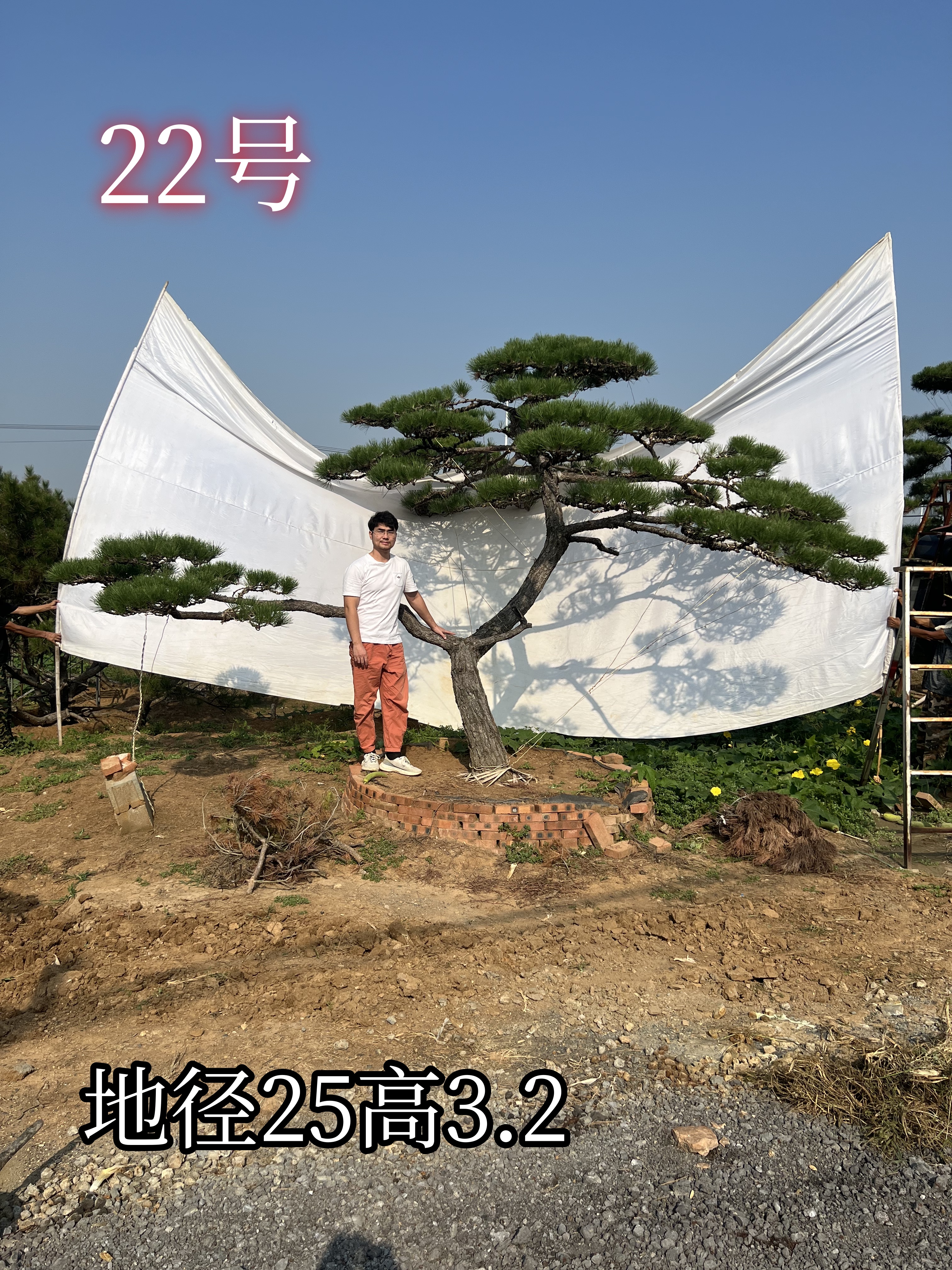 超12万22.jpg
