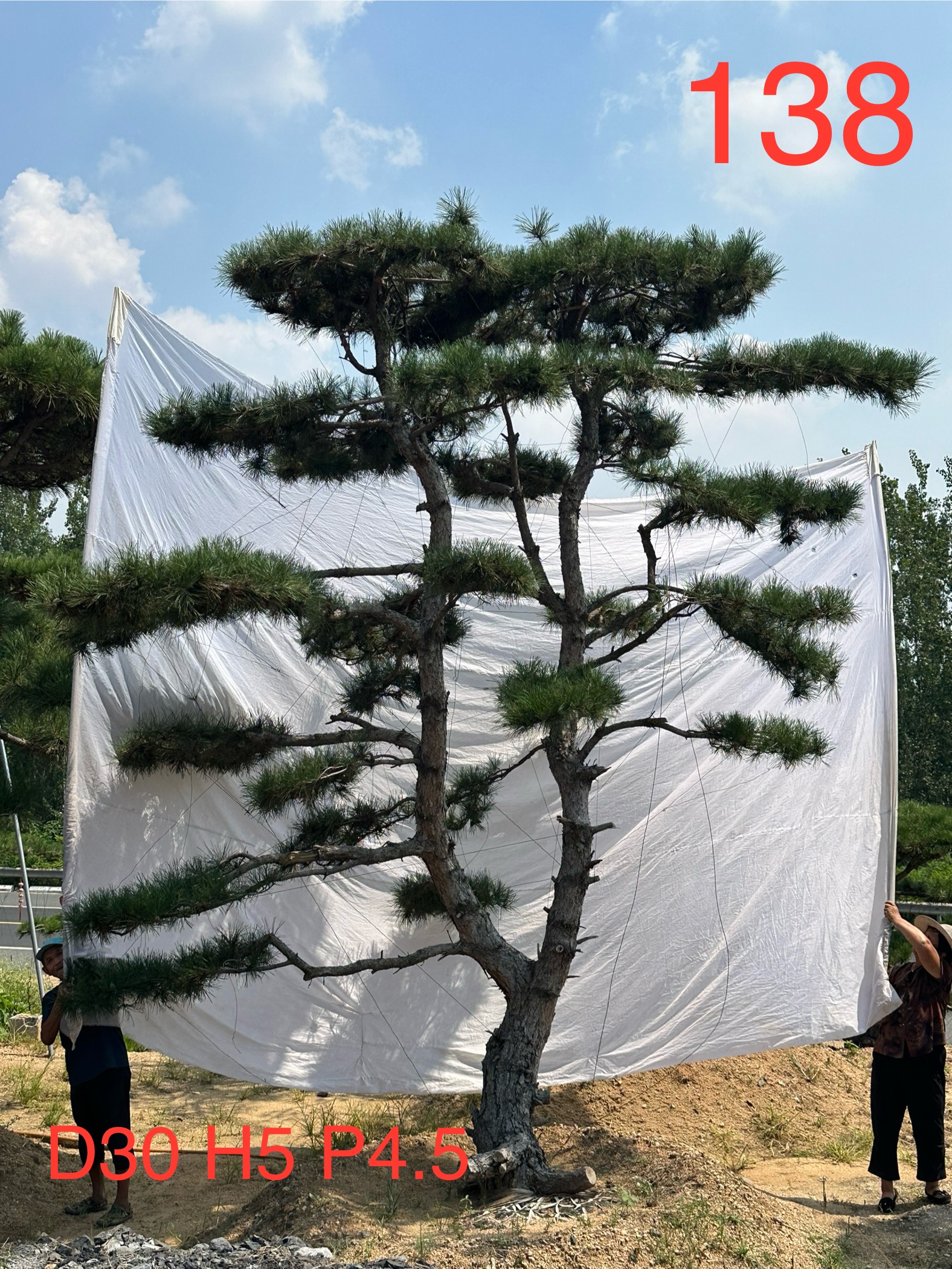 斌两万138.jpg