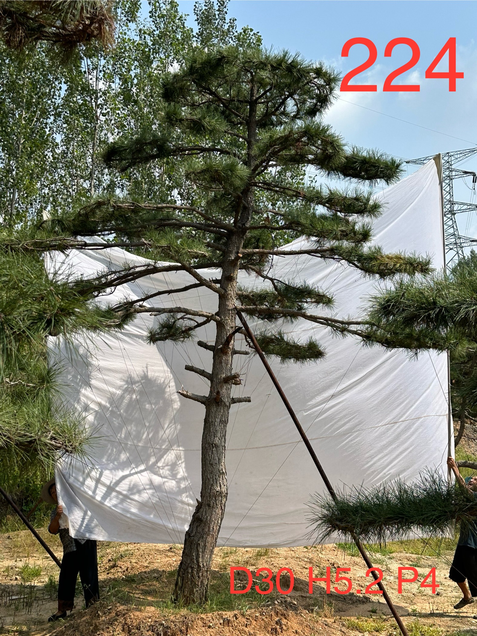 斌一万二224.jpg