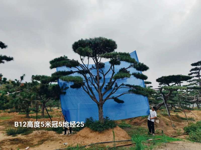耿斌一万四B12 (2).jpg